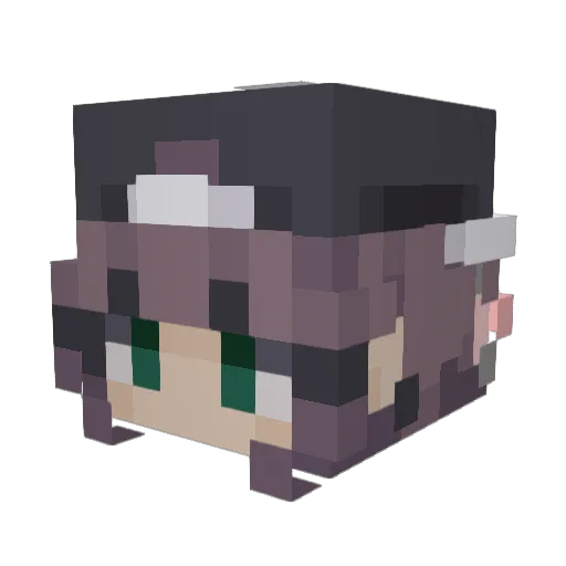 alexsa109 Minecraft avatar head, 3D render