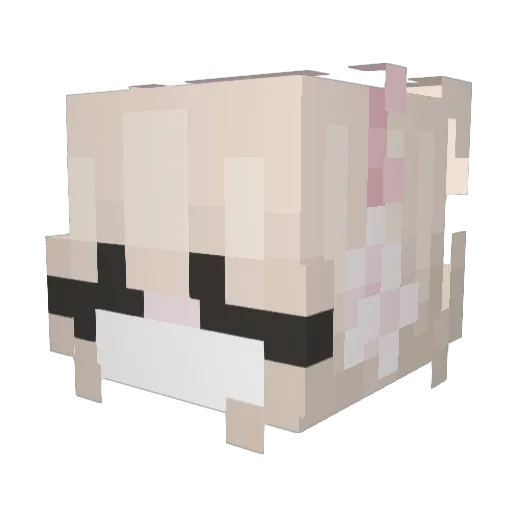 aleyn Minecraft avatar head, 3D render