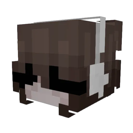 aleynayah Minecraft avatar head, 3D render