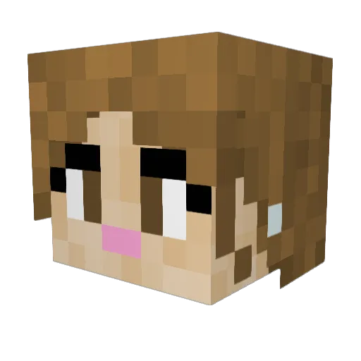 aleyy123 Minecraft avatar head, 3D render
