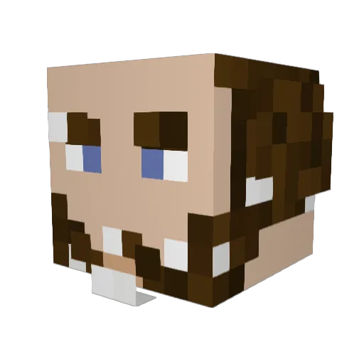 alfn0b Minecraft avatar head, 3D render