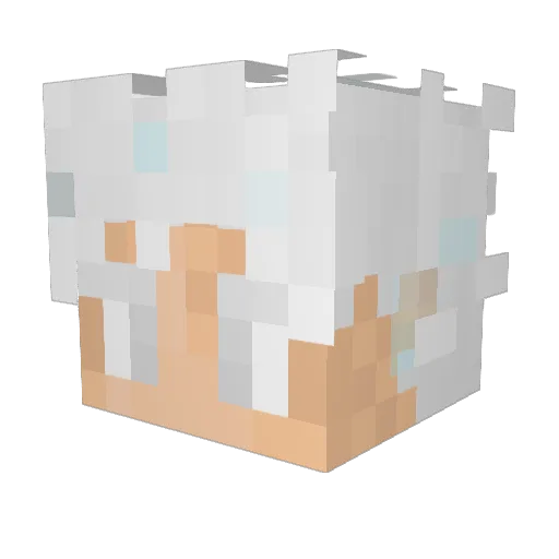 alfredjr29 Minecraft avatar head, 3D render