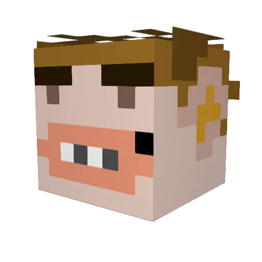 alg4e Minecraft avatar head, 3D render