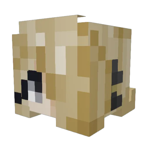 algarvio2003 Minecraft avatar head, 3D render