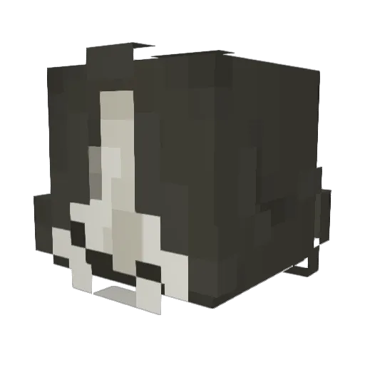 algebralien Minecraft avatar head, 3D render