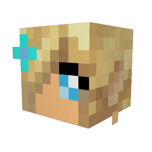 alicat927 Minecraft avatar head, 3D render