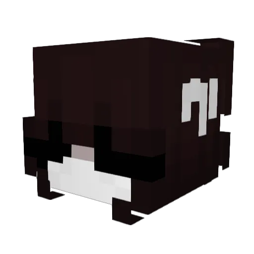 alicecjji Minecraft avatar head, 3D render