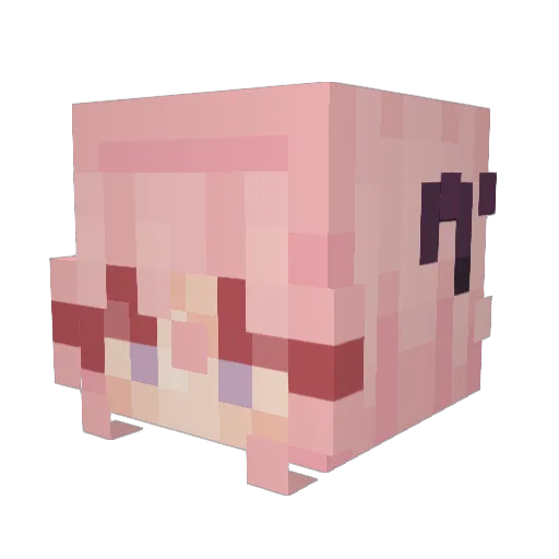aliceunknown Minecraft avatar head, 3D render