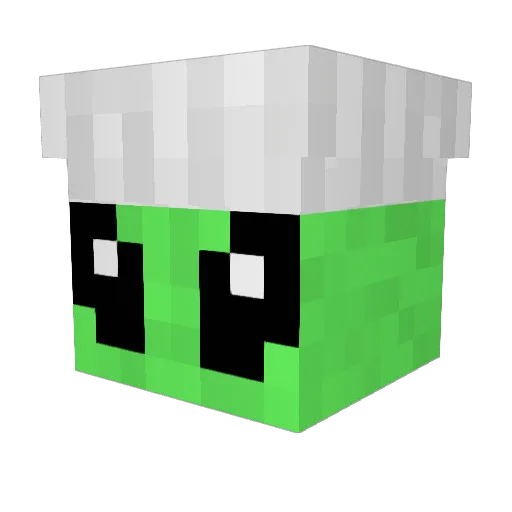 alien_chef Minecraft avatar head, 3D render