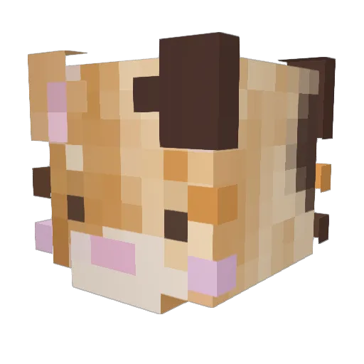 alienfishing Minecraft avatar head, 3D render