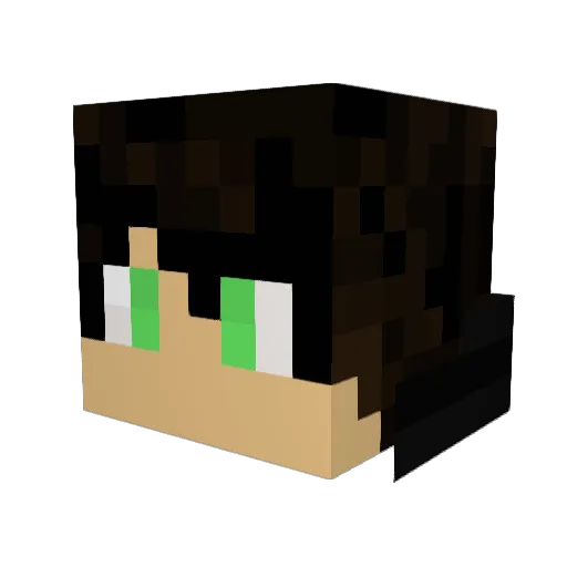 alienman2019 Minecraft avatar head, 3D render