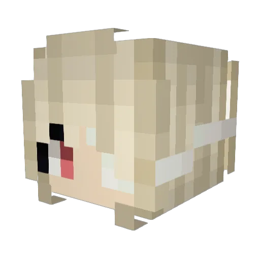 aliepsy Minecraft avatar head, 3D render