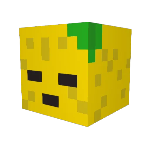 alieshacrane Minecraft avatar head, 3D render