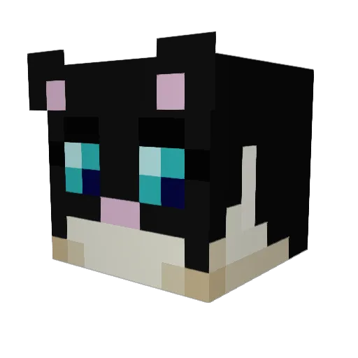 alinag23 Minecraft avatar head, 3D render