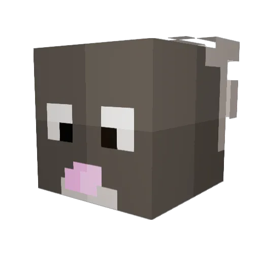 alinasiol Minecraft avatar head, 3D render
