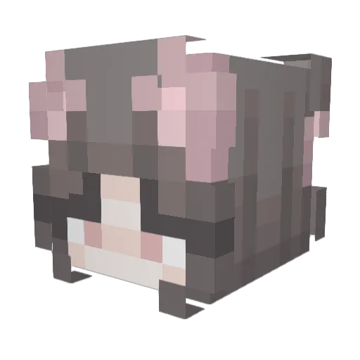 alisa000 Minecraft avatar head, 3D render