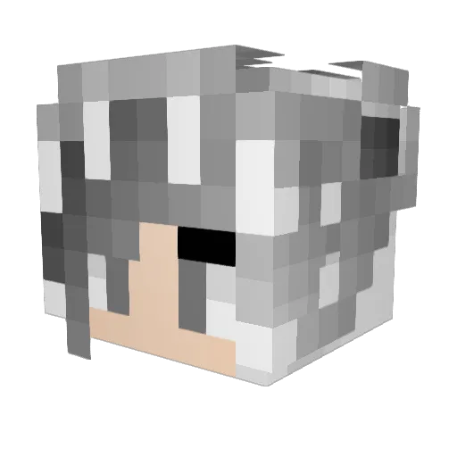 alisa1107 Minecraft avatar head, 3D render