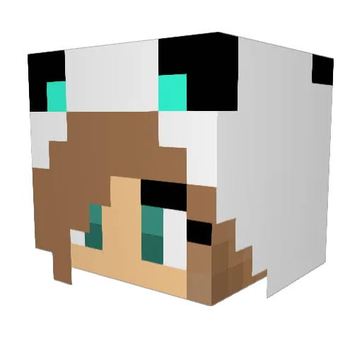alisaagey Minecraft avatar head, 3D render