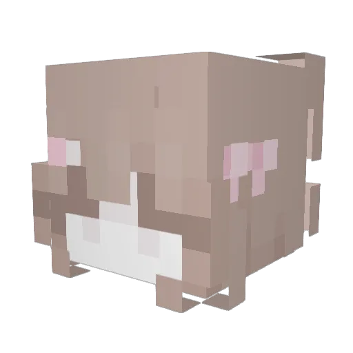 alisajee Minecraft avatar head, 3D render