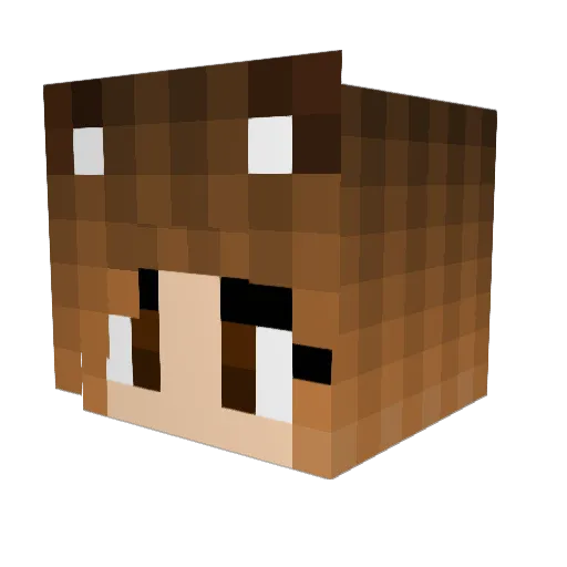 alise305 Minecraft avatar head, 3D render