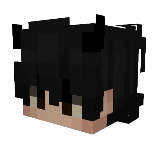 alisinho018 Minecraft avatar head, 3D render
