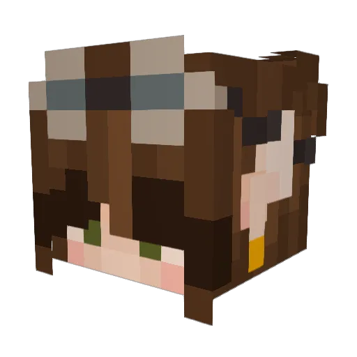 alissanoober Minecraft avatar head, 3D render