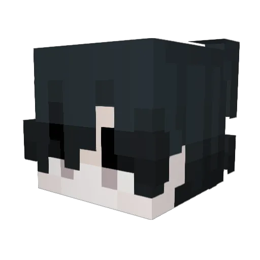 alittlesympathy Minecraft avatar head, 3D render