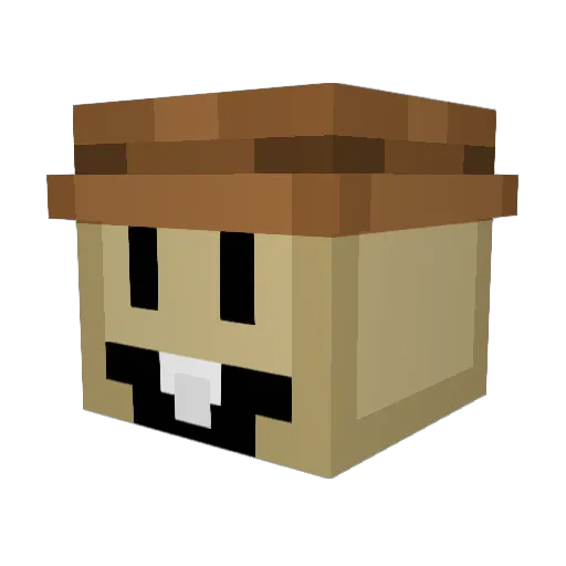 alixara Minecraft avatar head, 3D render