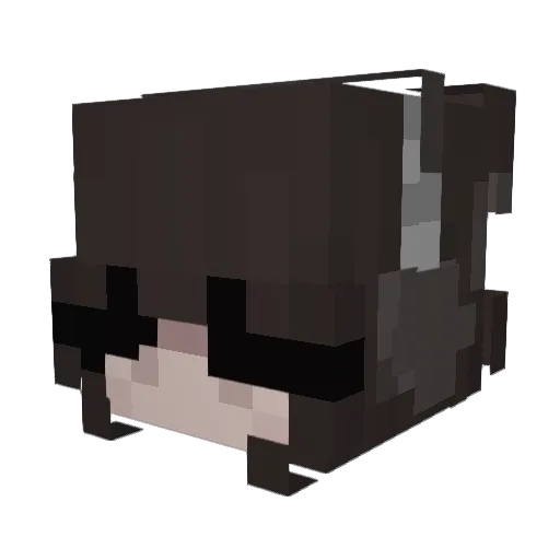 aliy4 Minecraft avatar head, 3D render