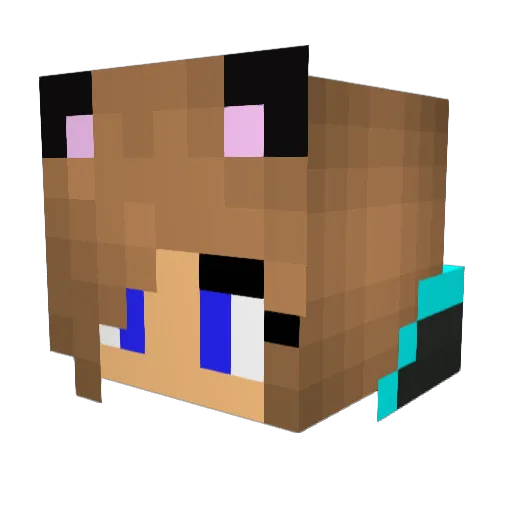 aliya1102 Minecraft avatar head, 3D render