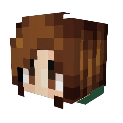 alizard2 Minecraft avatar head, 3D render
