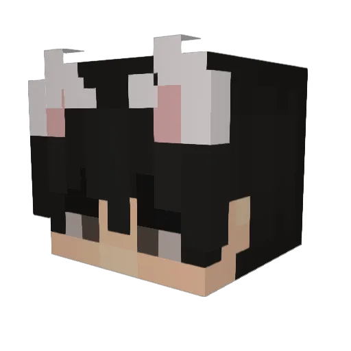 aljk67 Minecraft avatar head, 3D render