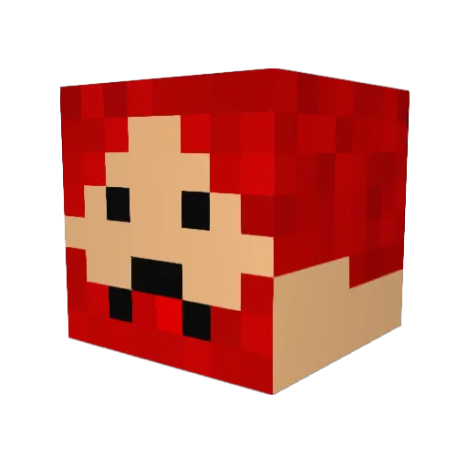 alkan13 Minecraft avatar head, 3D render