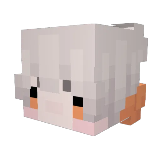 all_allen Minecraft avatar head, 3D render