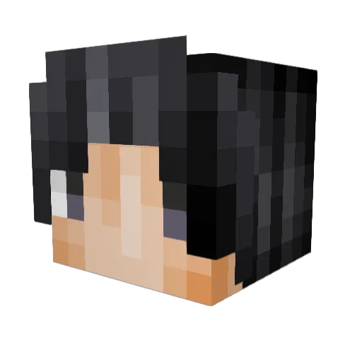 all_chen Minecraft avatar head, 3D render