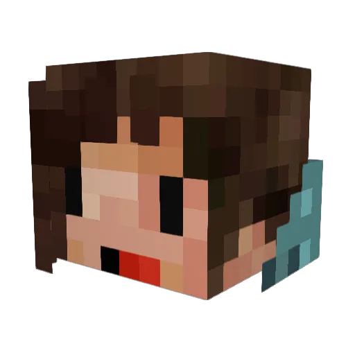 all_yall Minecraft avatar head, 3D render