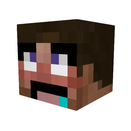 allahpropvp Minecraft avatar head, 3D render