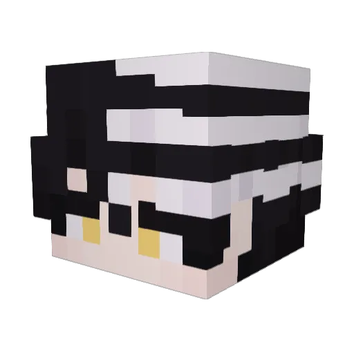 allan_jesus Minecraft avatar head, 3D render
