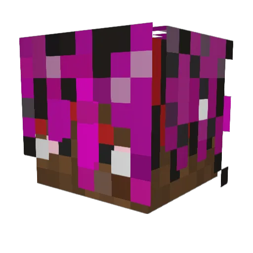 allanashh Minecraft avatar head, 3D render