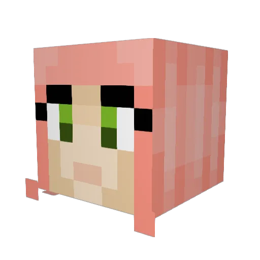 allanfrallan Minecraft avatar head, 3D render