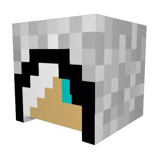 allanwalker Minecraft avatar head, 3D render