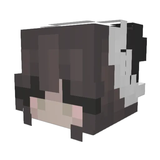 allbee12 Minecraft avatar head, 3D render