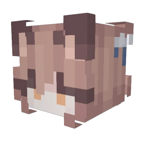 allectte Minecraft avatar head, 3D render