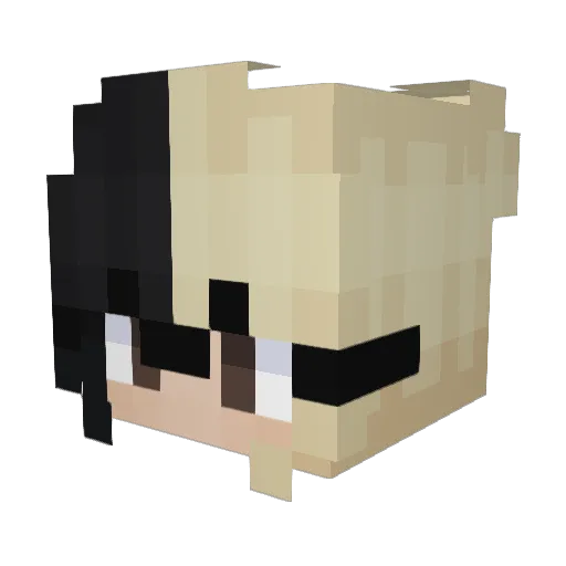 alleejoon Minecraft avatar head, 3D render