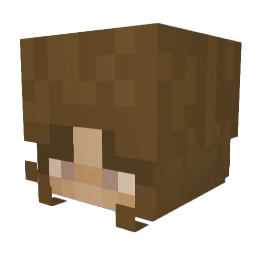 alleemckay Minecraft avatar head, 3D render