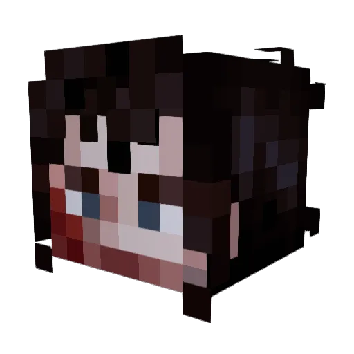 alleged_nerd Minecraft avatar head, 3D render