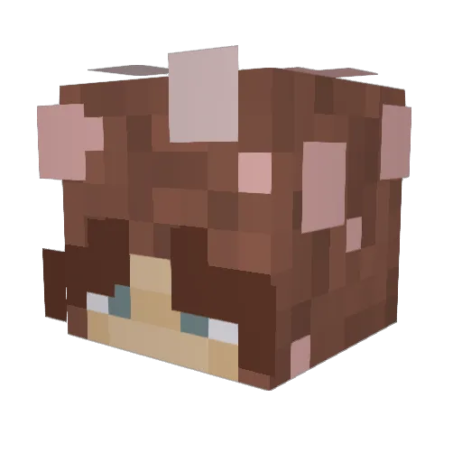 allegroora Minecraft avatar head, 3D render
