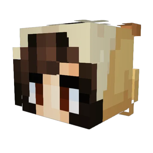 alleinad23 Minecraft avatar head, 3D render