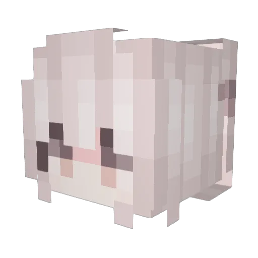 allen0430 Minecraft avatar head, 3D render