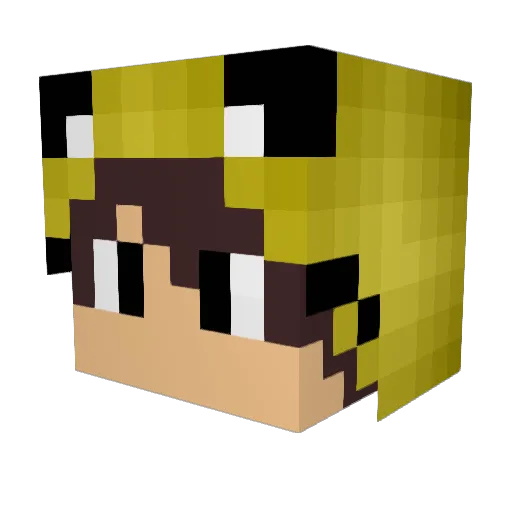 allen12 Minecraft avatar head, 3D render